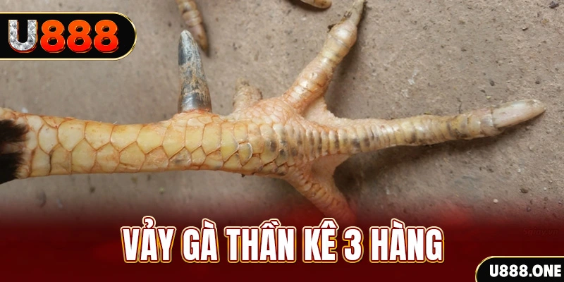fiv88 nổ hũ đổi thưởng . ai