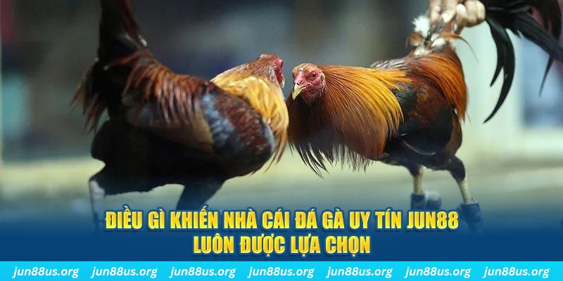 fiv88 bắn cá 30
