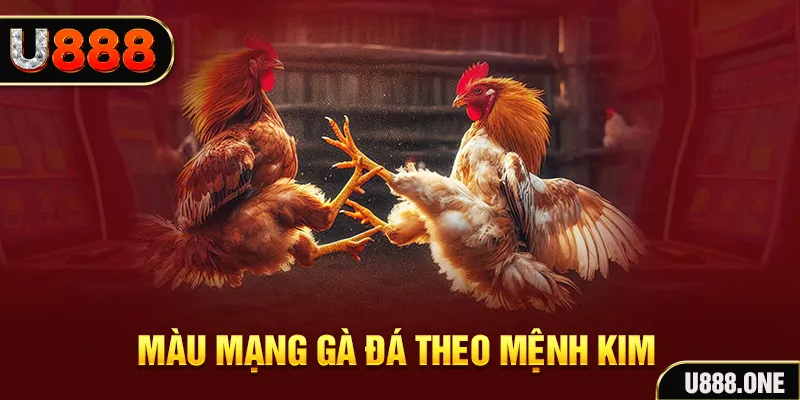 fiv88 gà chọi tiêu phong