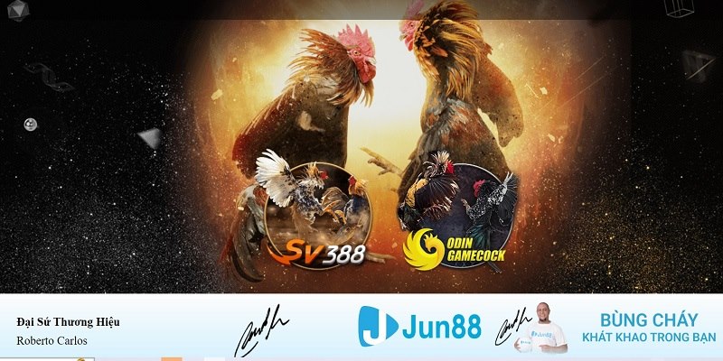 fiv88 xổ số miền nam hàng tuần