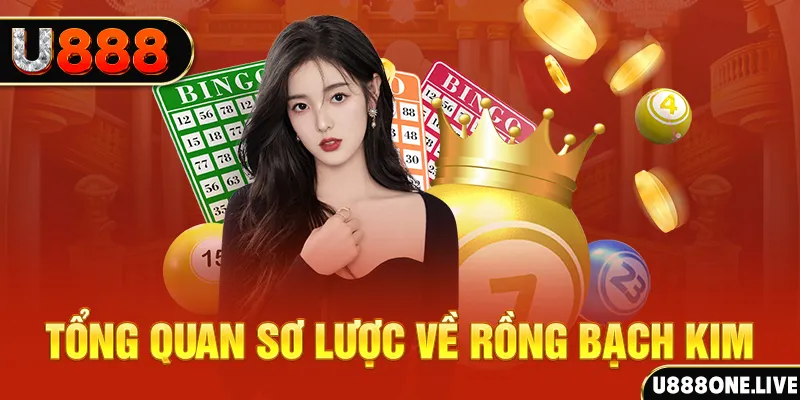 fiv88 how to win at slot machines