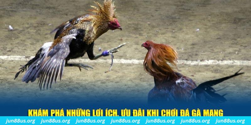 fiv88 Tài Xỉu 2