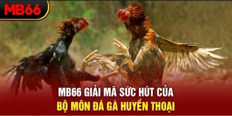 fiv88 long bảo trong baccarat là gì