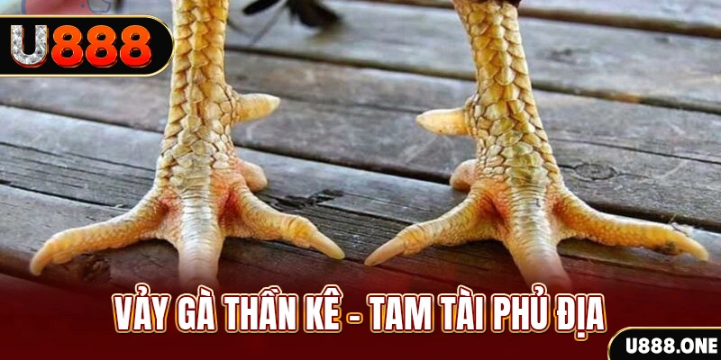 fiv88 xổ số 30 ngày