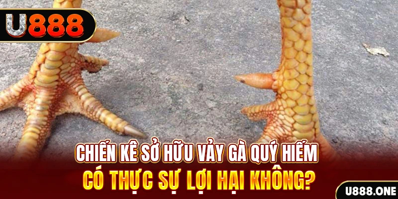 fiv88 game cá cược máy bay