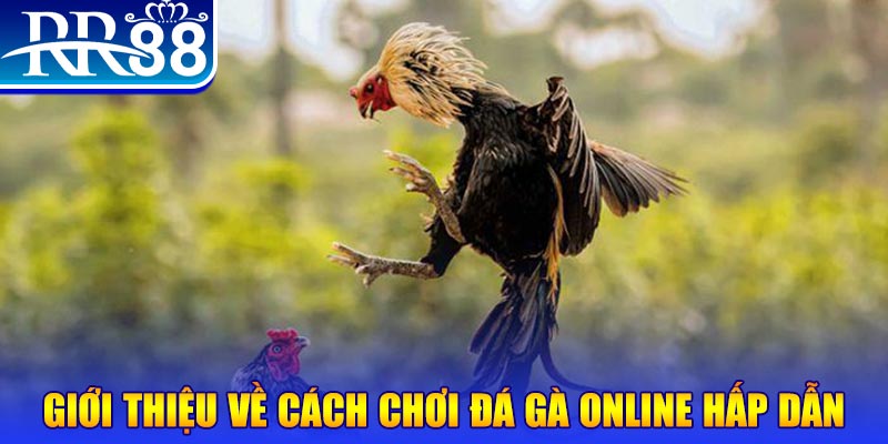 fiv88 nổ hũ 2 mặt là gì