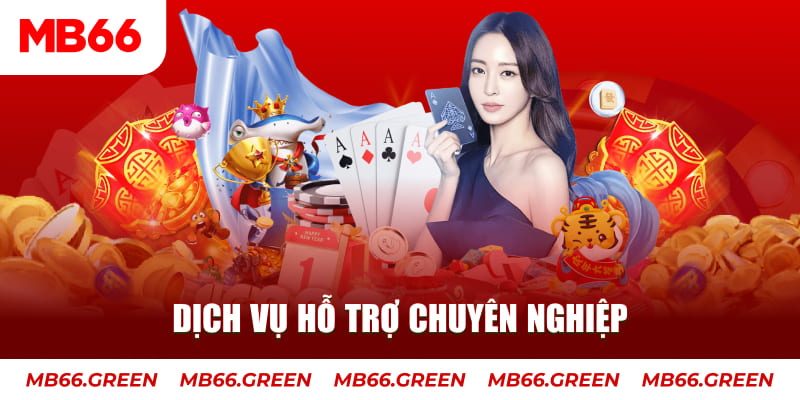 fiv88 gà chọi cậu thanh
