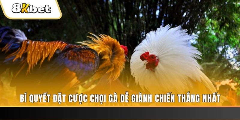 fiv88 may club nổ hũ